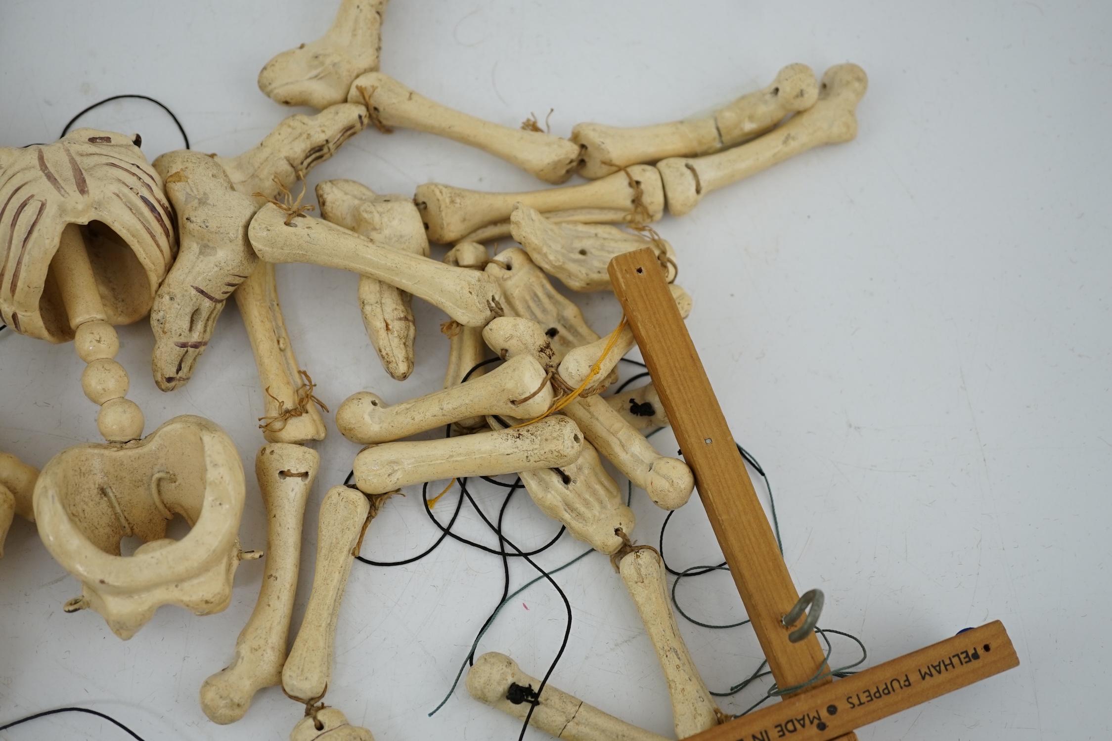 Two Pelham puppet skeletons